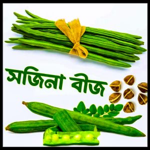 সজিনা-(Moringa),আনুমানিক ২০-২৫ বীজ