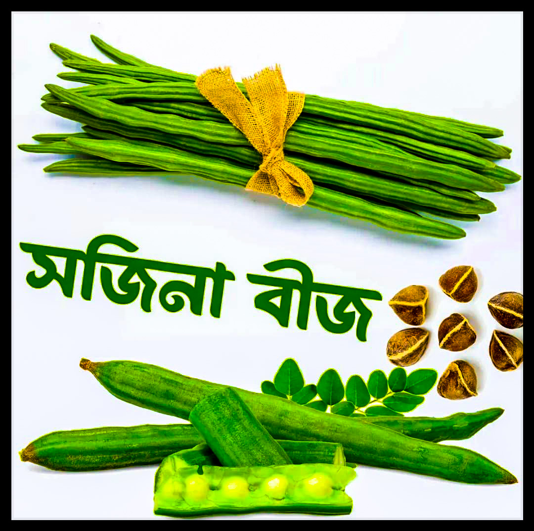 সজিনা-(Moringa),আনুমানিক ২০-২৫ বীজ
