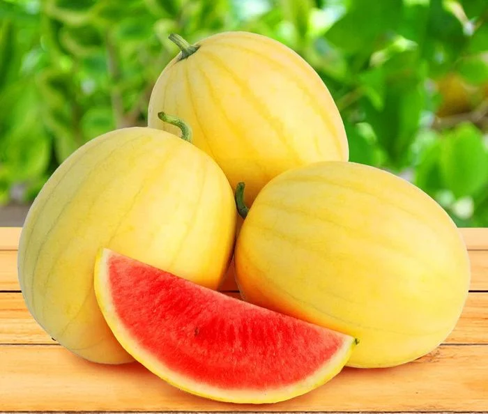 হলুদ তরমুজ (Yellow Watermelon),আনুমানিক ১৫-২০ বীজ - Image 3