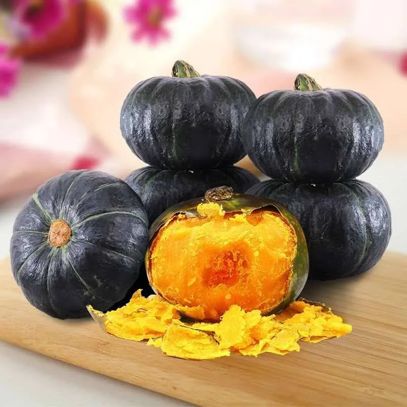 জাপানি বেবি মিষ্টি কুমড়া-(Japanese Baby Sweet Pumpkin)- আনুমানিক ১০ বীজ - Image 3