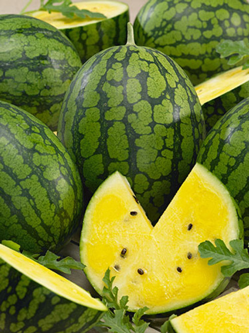 হলুদ তরমুজ-(Yellow Watermelon),আনুমানিক ১৫-২০ বীজ - Image 3