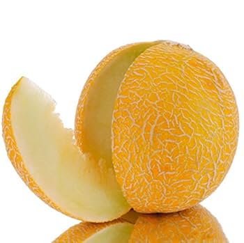 সৌদি আরবের গোল সাম্মাম ফল-(Rock Melon/Shammam)-আনুমানিক ৫০ বীজ - Image 3