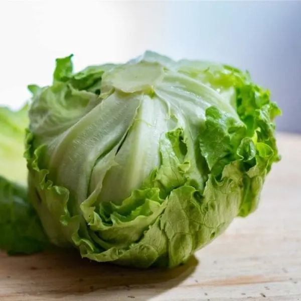 চায়না পাতাকপি-(Chinese Cabbage),আনুমানিক ১০০০ বীজ - Image 2