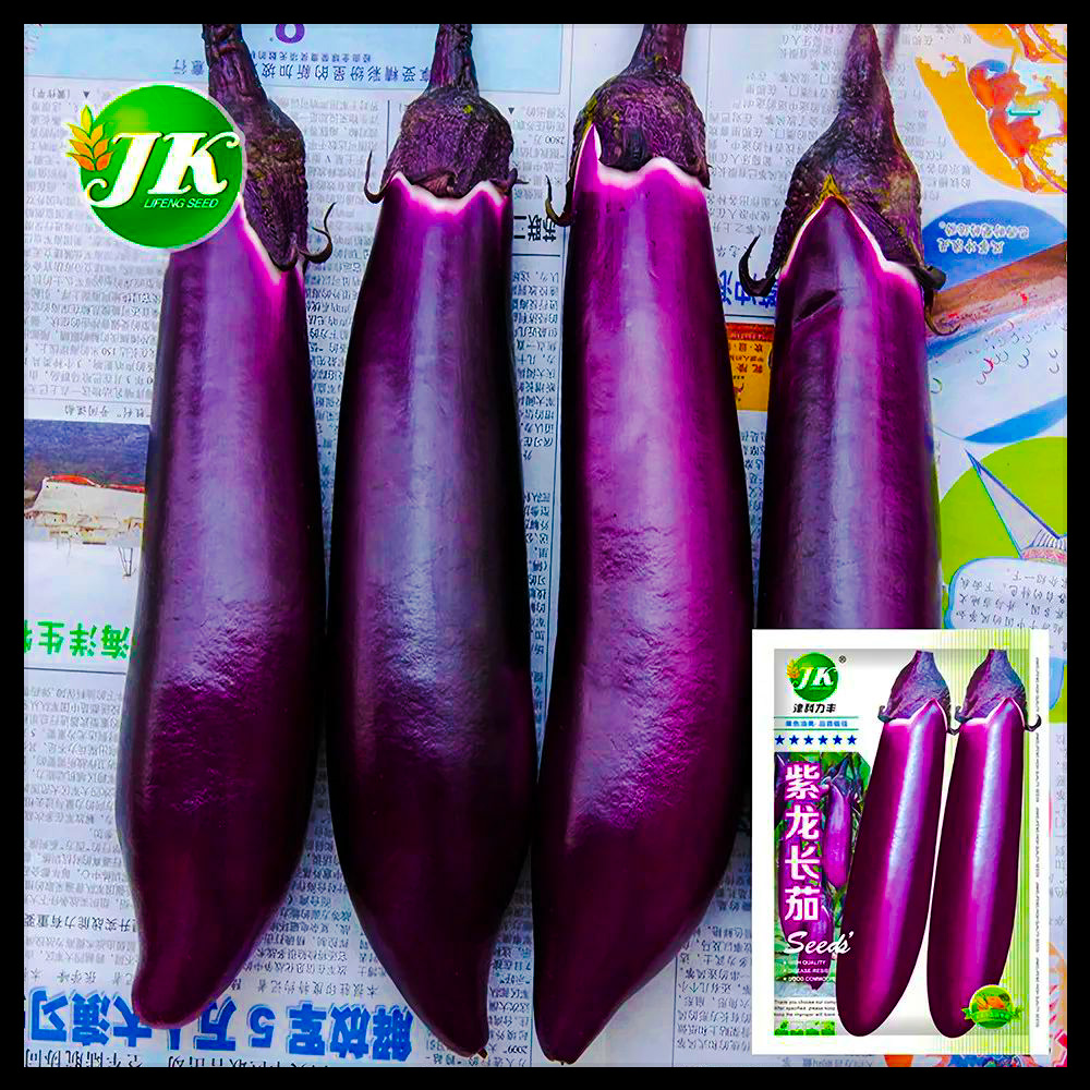 বেগুন-(Black Long Eggplant)-আনুমানিক ৩০০ বীজ