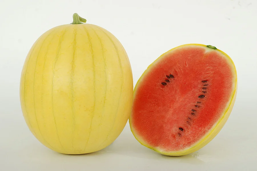 হলুদ তরমুজ (Yellow Watermelon),আনুমানিক ১৫-২০ বীজ - Image 4