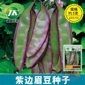 দেশি শিম-(Deshi Shim)-আনুমানিক ১০ বীজ