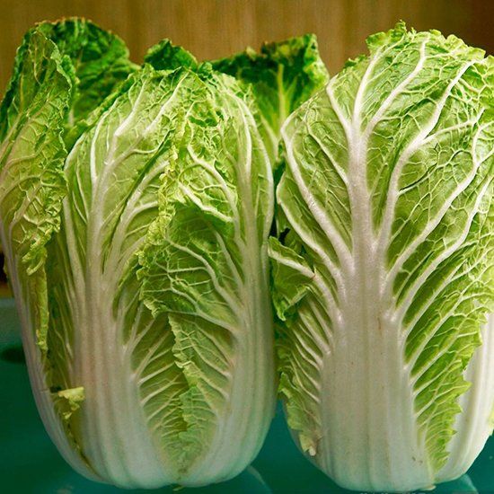 চাইনিজ বাঁধাকপি-(Hotpot Chinese Cabbage),আনুমানিক ১০০০ বীজ - Image 2