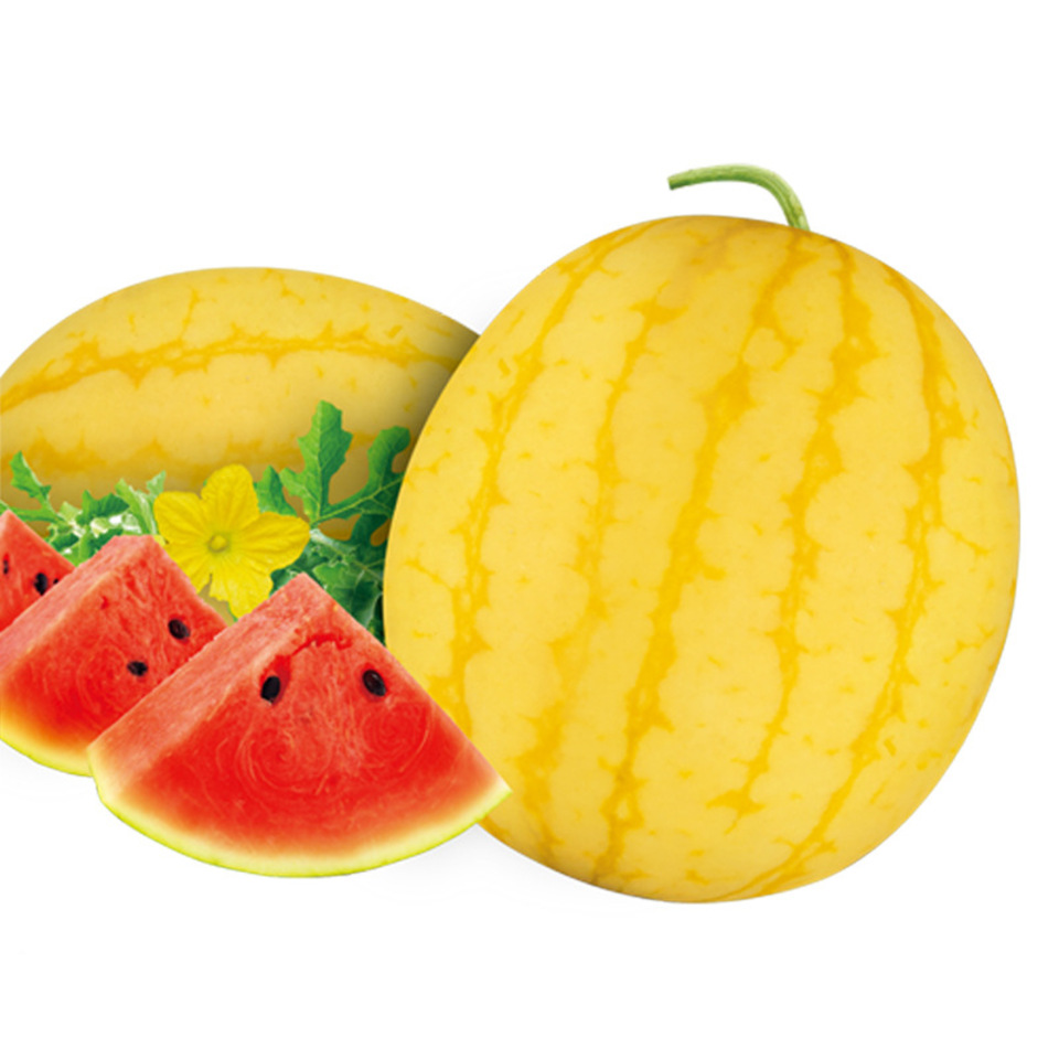 হলুদ তরমুজ (Yellow Watermelon),আনুমানিক ১৫-২০ বীজ - Image 7