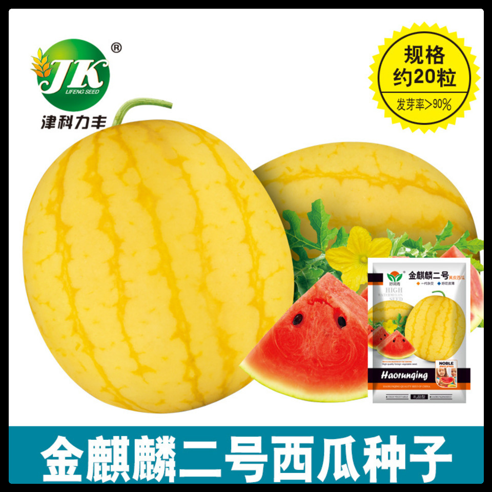 হলুদ তরমুজ (Yellow Watermelon),আনুমানিক ১৫-২০ বীজ