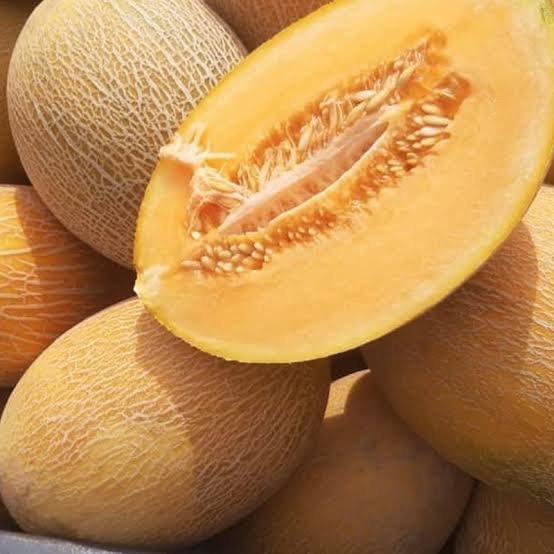 সৌদি আরবের সাম্মাম ফল (Rock Melon / Shammam)-আনুমানিক ৫০ বীজ - Image 3