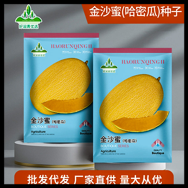 সৌদি আরবের সাম্মাম ফল (Rock Melon / Shammam)-আনুমানিক ৫০ বীজ