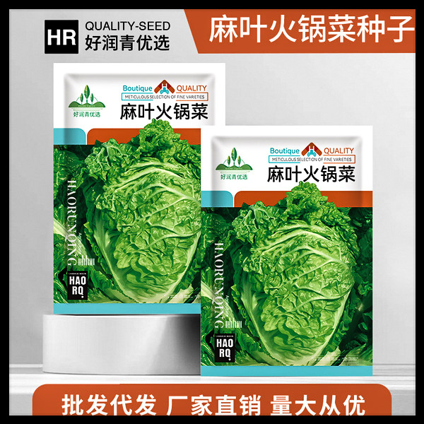 চাইনিজ বাঁধাকপি-(Hotpot Chinese Cabbage),আনুমানিক ১০০০ বীজ