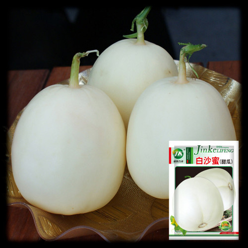 সাদা বাঙ্গি-(White Melon / White Bangi),আনুমানিক ১০০ বীজ