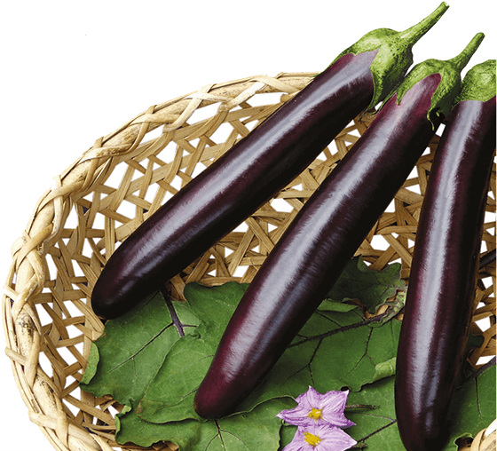 বেগুন-(Black Long Eggplant)-আনুমানিক ৩০০ বীজ - Image 3