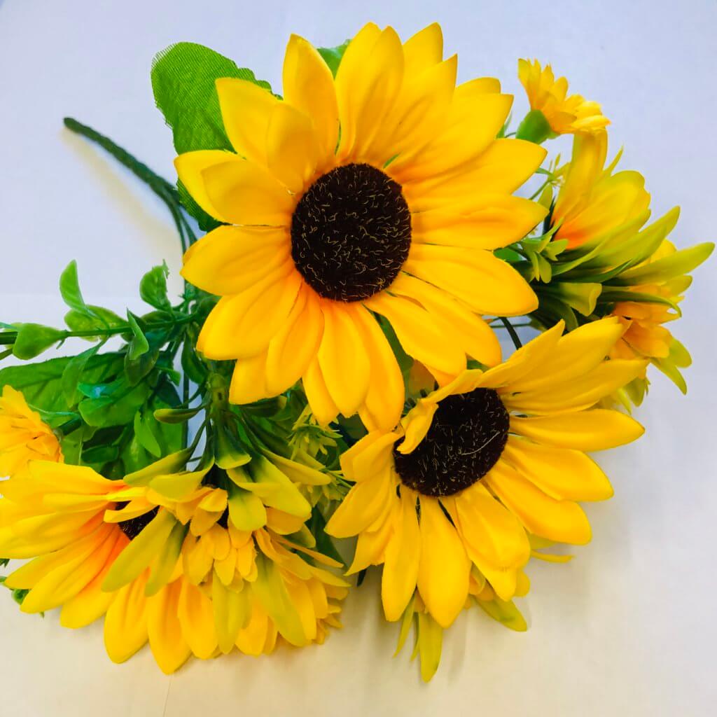 মাল্টি–হেড সূর্যমুখী-(Multi-Head Sunflower),আনুমানিক ৫০ বীজ - Image 5