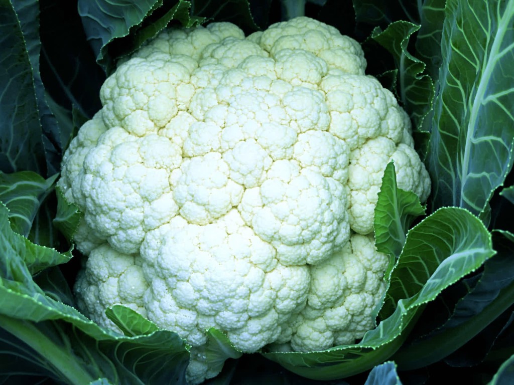 সাদা ফুলকপি-(Sada Ful Copi),আনুমানিক ২০০ বীজ - Image 7