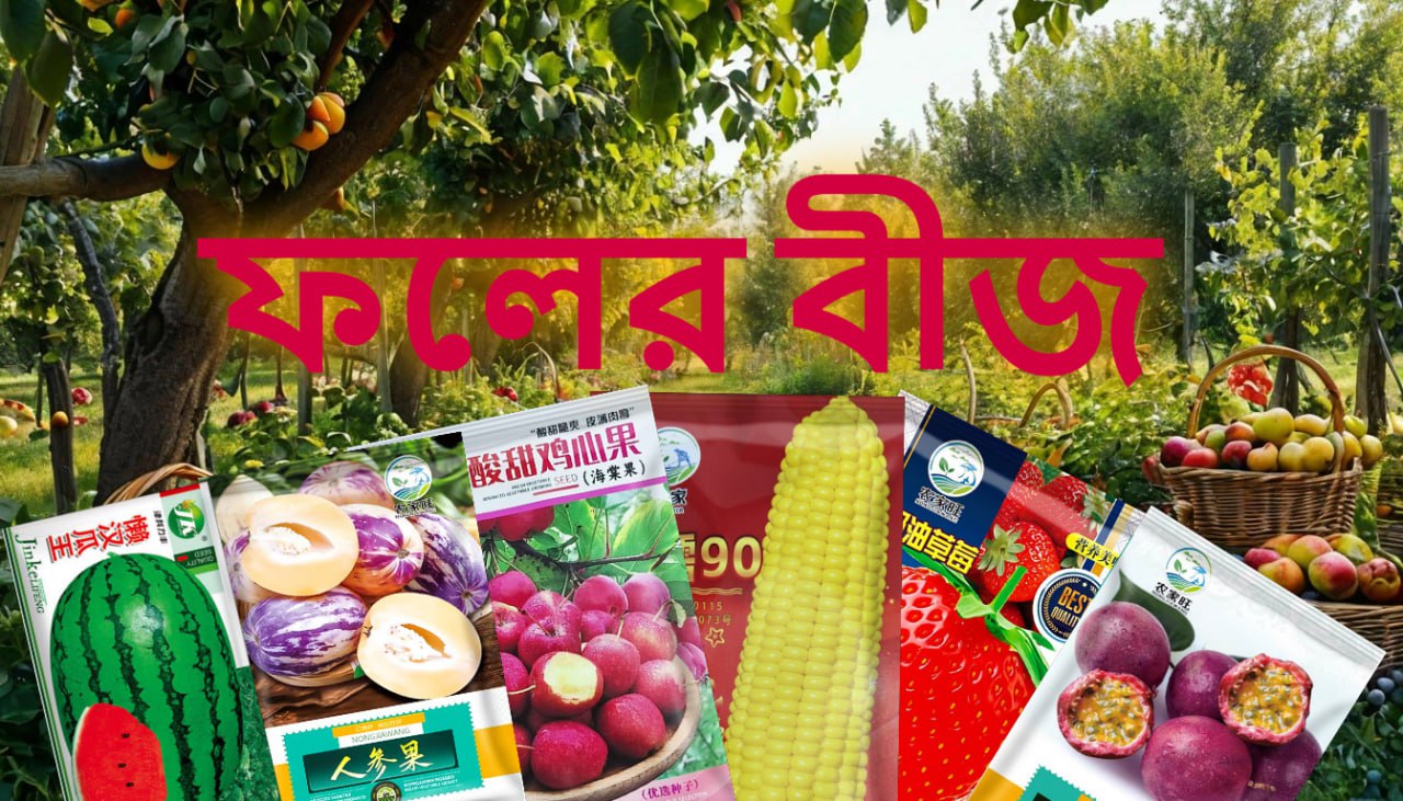 ফলের বীজ