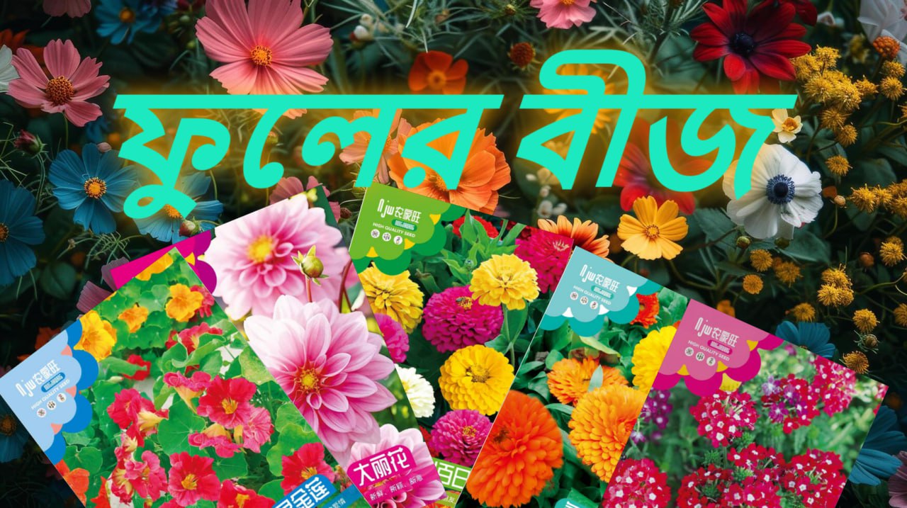 ফুলের বীজ