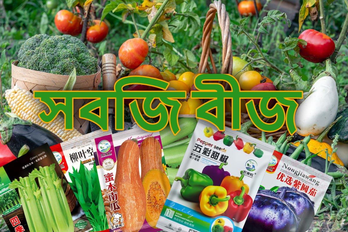 সবজি বীজ