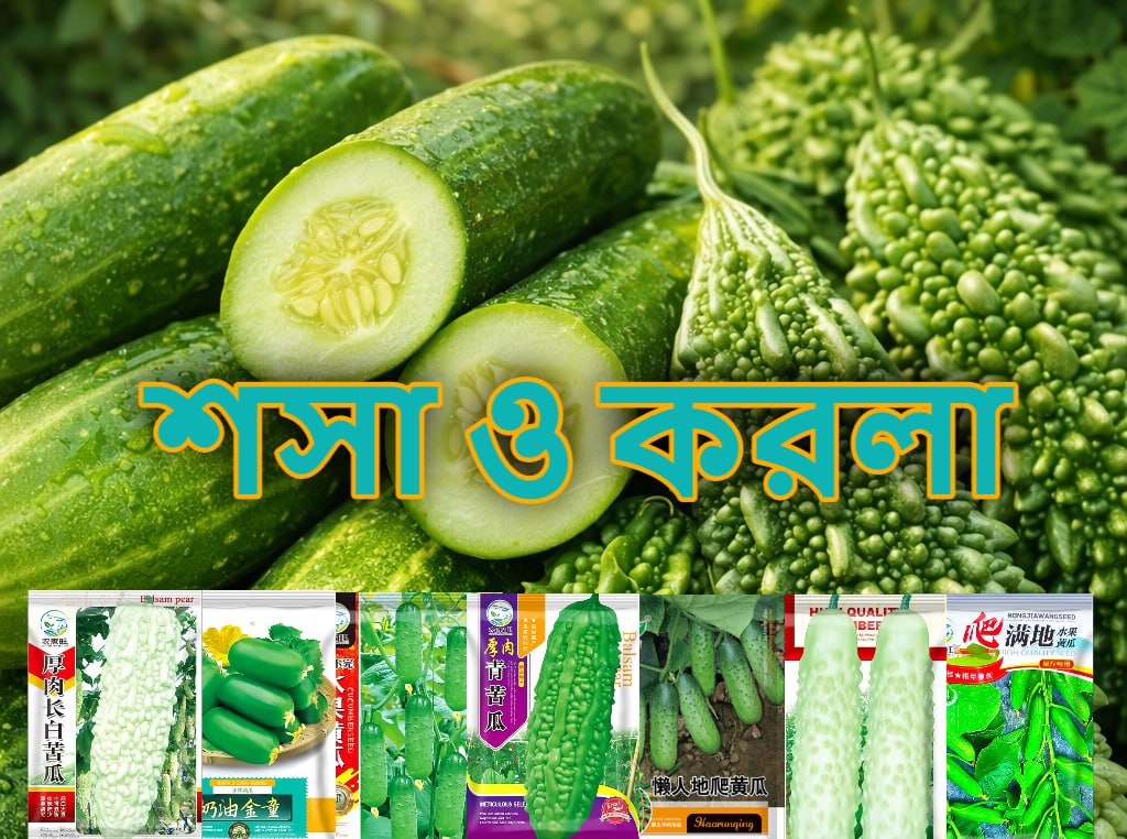 শসা ও করলা