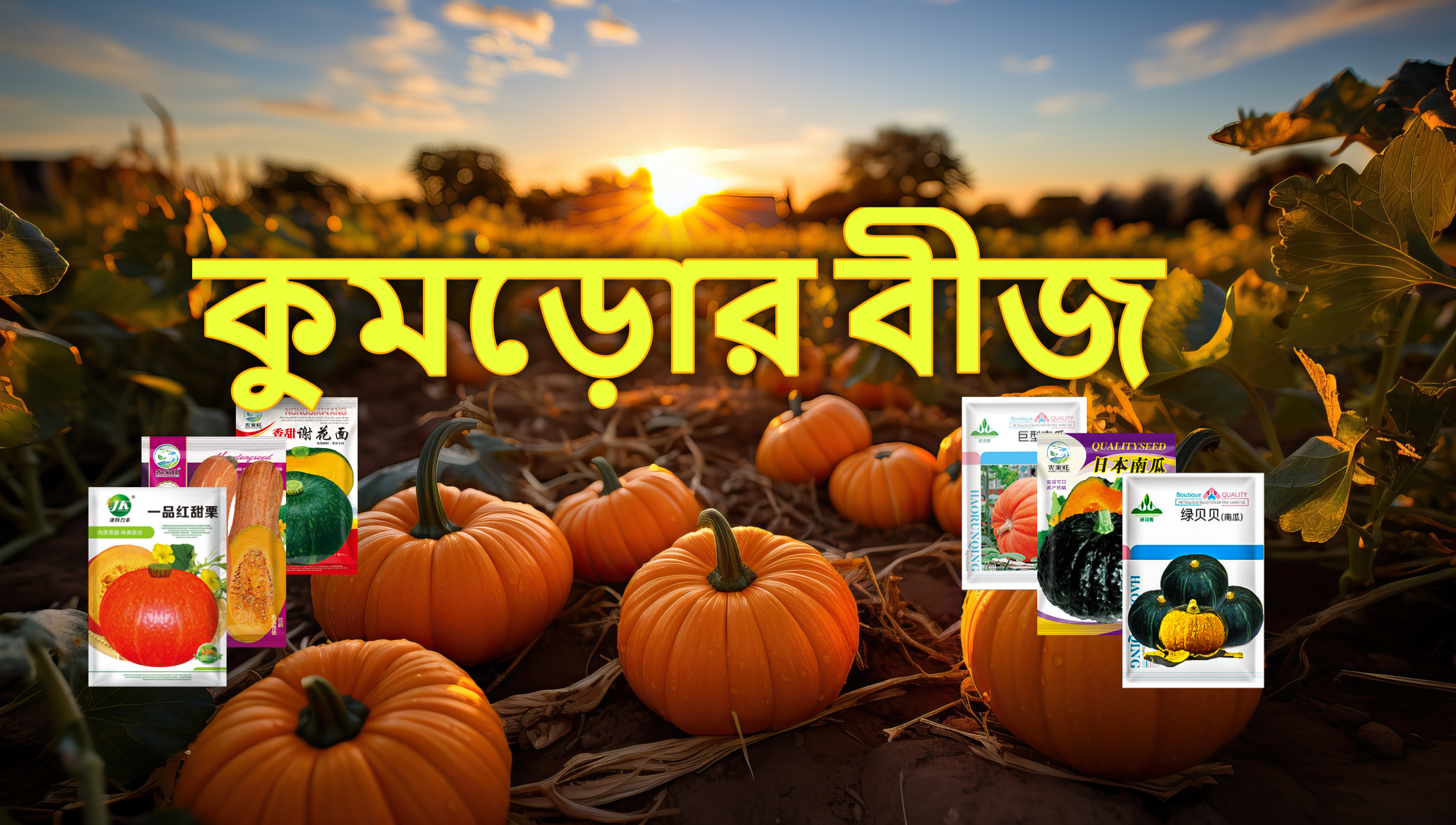 কুমড়োর বীজ
